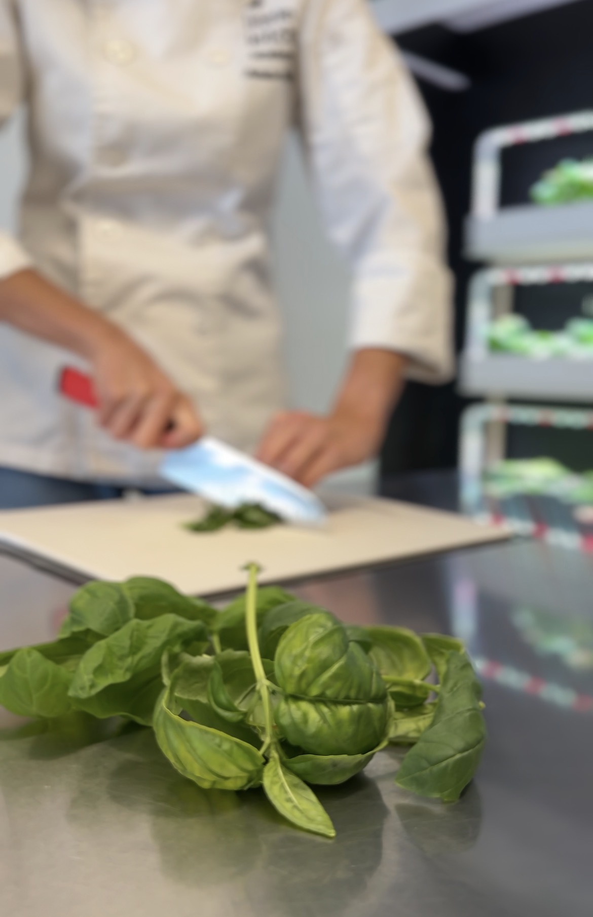 Chopping basil with the LKA Progressive Knife Set